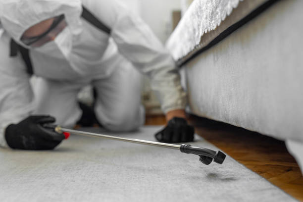 Professional Mosquito Control technician working in Beecher, IL