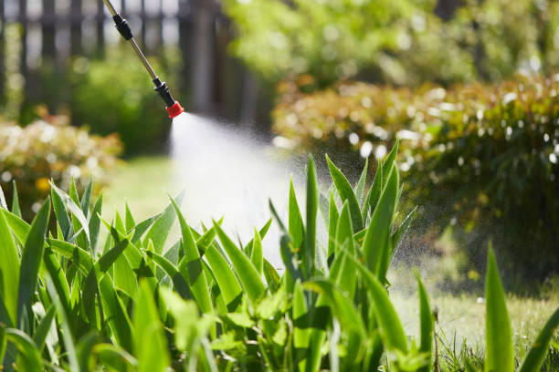 24/7 Emergency Mosquito Control experts in Beecher, IL