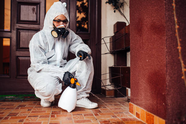 Reliable Mosquito Control contractor in Beecher, IL by Nex Pest Control